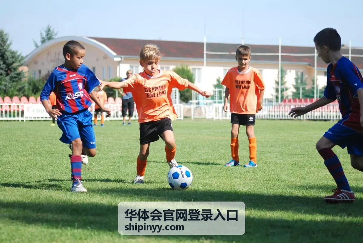 华体会官网登录入口客户端安装包校验示意