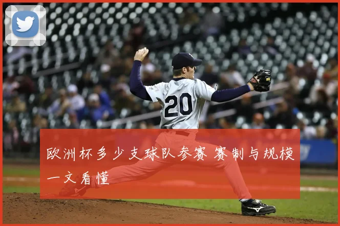 欧洲杯多少支球队参赛 赛制与规模一文看懂