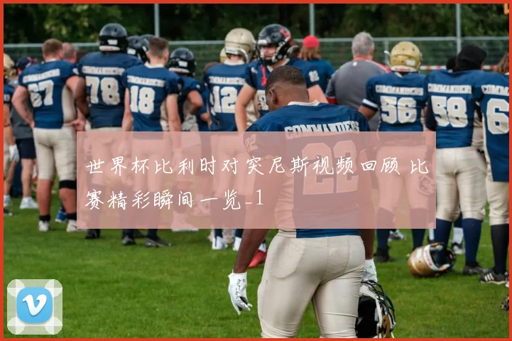 世界杯比利时对突尼斯视频回顾 比赛精彩瞬间一览_1