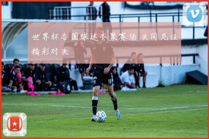 世界杯各国球迷齐聚赛场 共同见证精彩对决