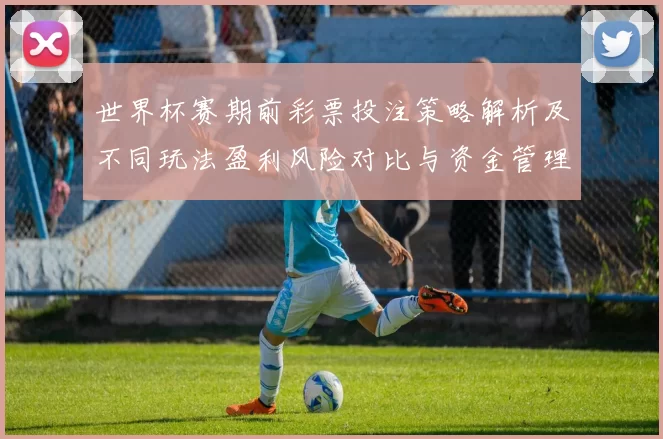 世界杯赛期前彩票投注策略解析及不同玩法盈利风险对比与资金管理建议