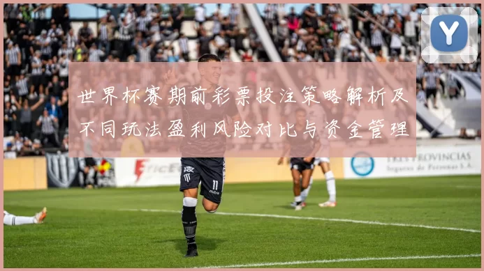 世界杯赛期前彩票投注策略解析及不同玩法盈利风险对比与资金管理建议